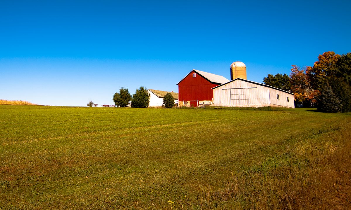 Government Loans - My Credit Union Partner